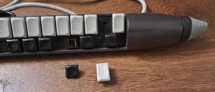 Realton-Variophon Gig wind control as seen